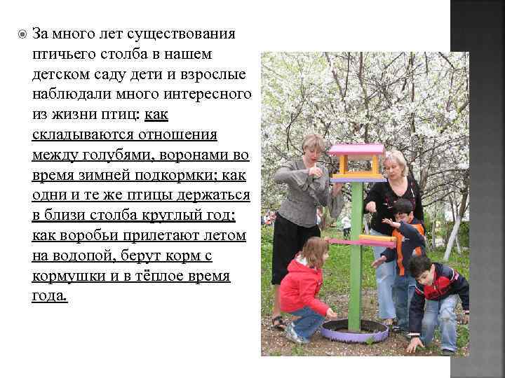  За много лет существования птичьего столба в нашем детском саду дети и взрослые