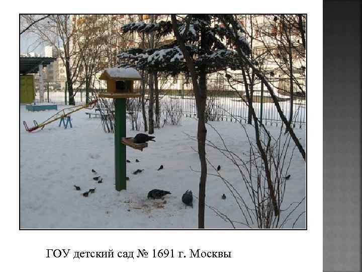 ГОУ детский сад № 1691 г. Москвы 