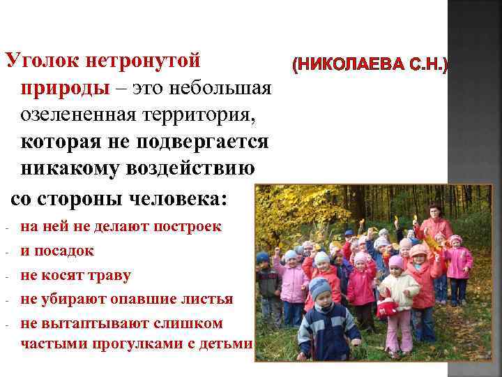 Уголок нетронутой природы – это небольшая озелененная территория, которая не подвергается никакому воздействию со