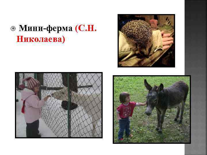  Мини-ферма (С. Н. Николаева) 