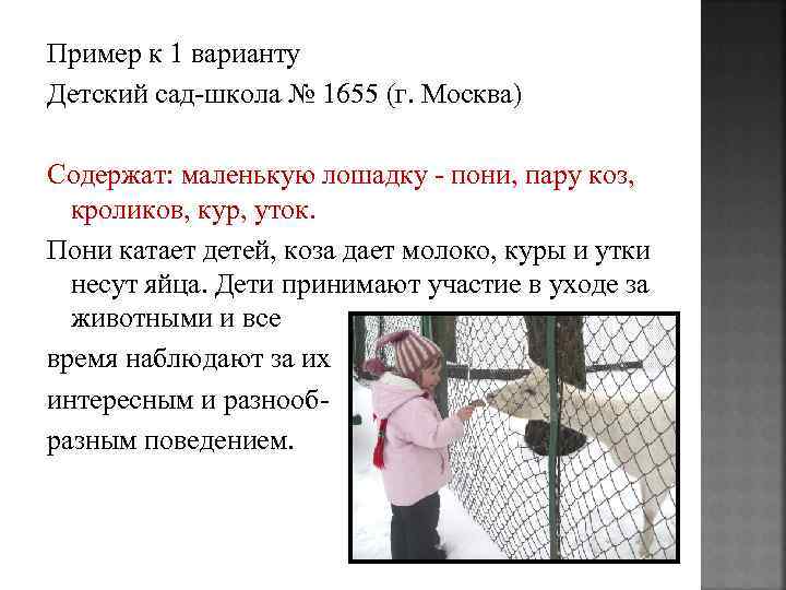 Пример к 1 варианту Детский сад-школа № 1655 (г. Москва) Содержат: маленькую лошадку -