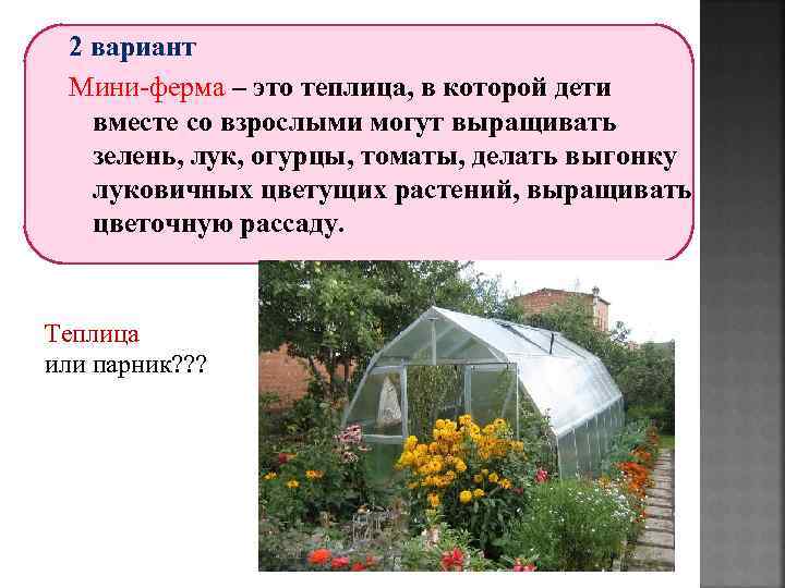 2 вариант Мини-ферма – это теплица, в которой дети вместе со взрослыми могут выращивать