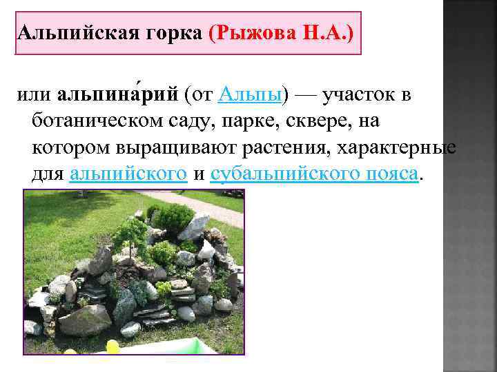 Альпийская горка (Рыжова Н. А. ) или альпина рий (от Альпы) — участок в