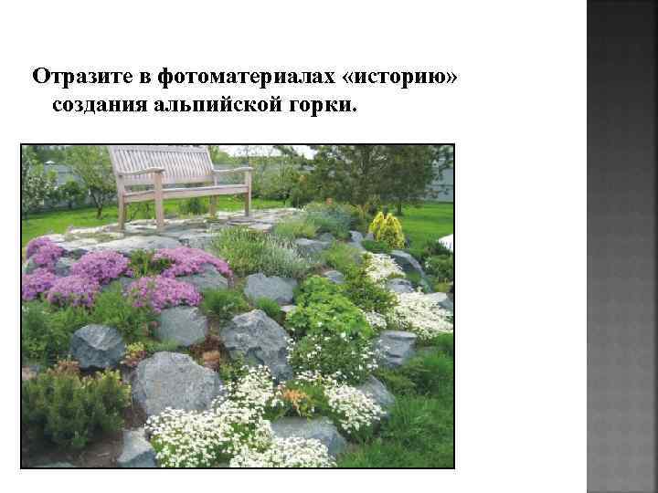 Отразите в фотоматериалах «историю» создания альпийской горки. 