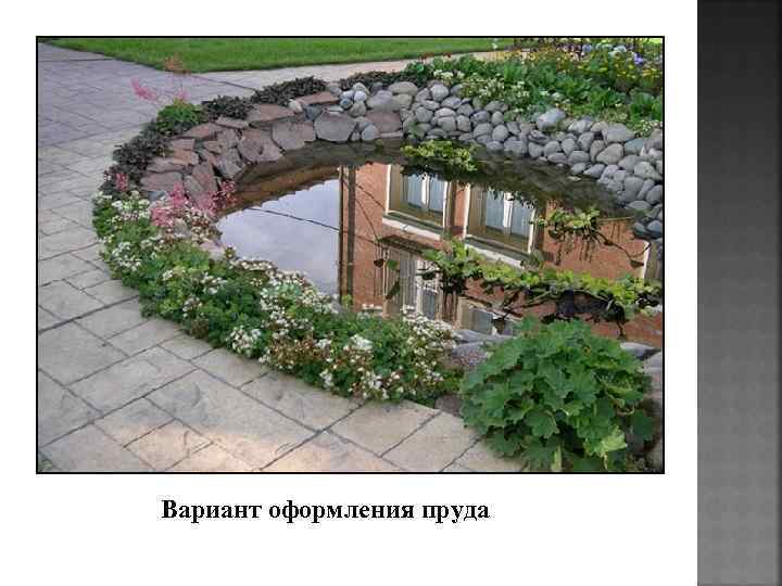 Вариант оформления пруда 
