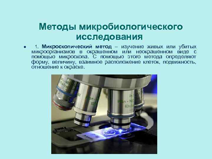 Методы микробиологического исследования l 1. Микроскопический метод – изучение живых или убитых микроорганизмов в