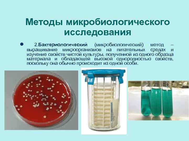 Методы микробиологического исследования l 2. Бактериологический (микробиологический) метод – выращивание микроорганизмов на питательных средах