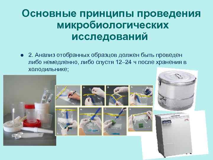 Основные принципы проведения микробиологических исследований l 2. Анализ отобранных образцов должен быть проведен либо