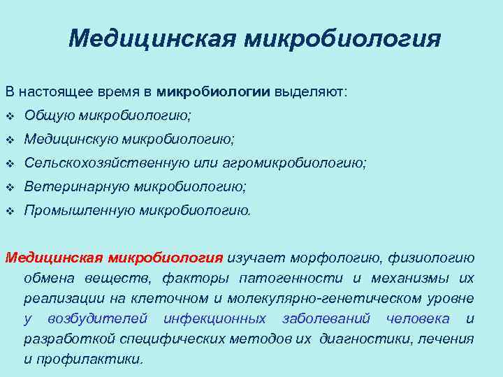 Медицинская микробиология В настоящее время в микробиологии выделяют: v Общую микробиологию; v Медицинскую микробиологию;