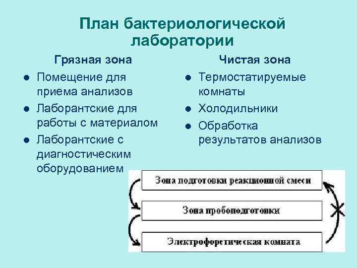 План бактериологической лаборатории l l l Грязная зона Помещение для приема анализов Лаборантские для