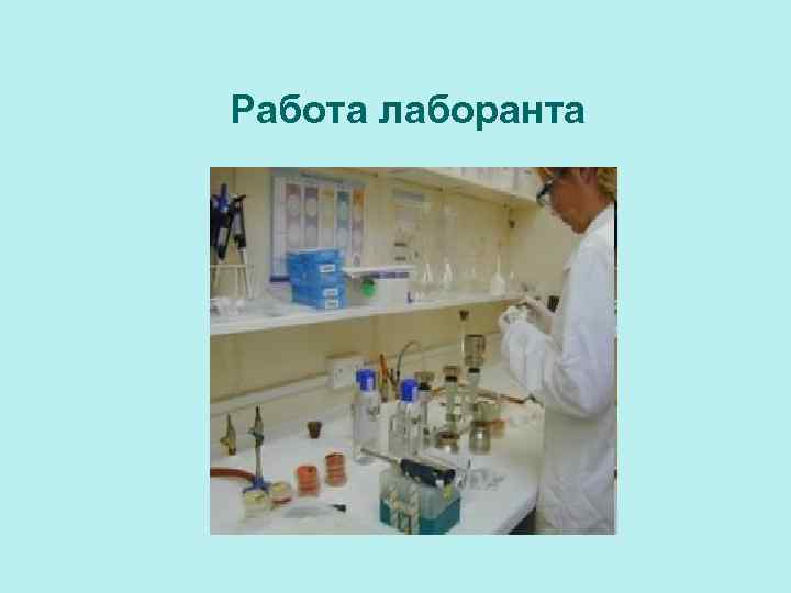 Работа лаборанта 