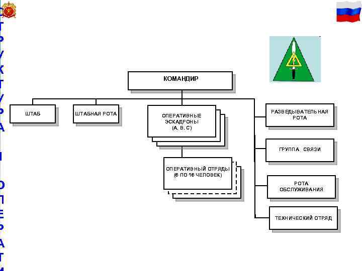 С 33 Т Р У К Т У Р А КОМАНДИР ШТАБНАЯ РОТА ОПЕРАТИВНЫЕ