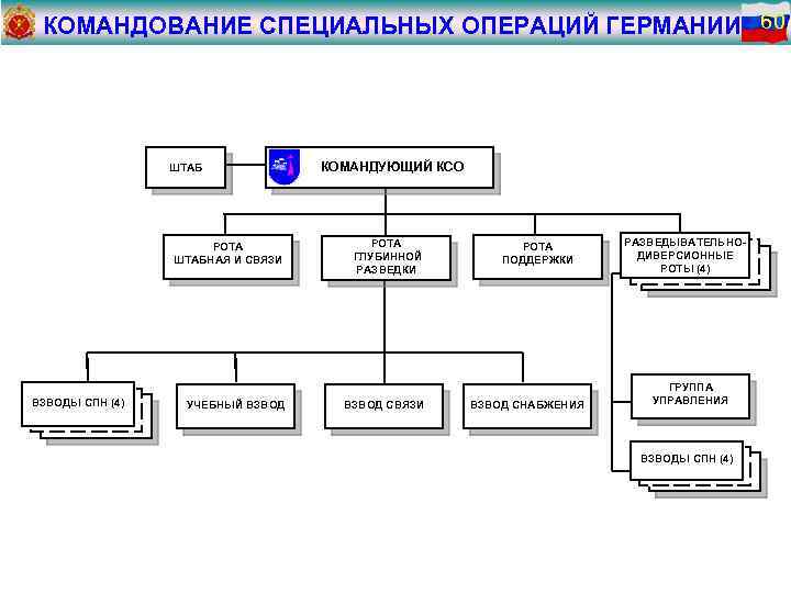 Состав сил специальных операций. ССО Германии структура. Организационно штатная структура ССО РФ. Командование специальных операций армии США структура. Структура сил специальных операций США.