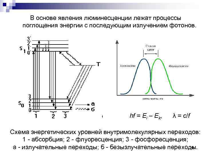В основе явления люминесценции лежат процессы поглощения энергии с последующим излучением фотонов. hf =