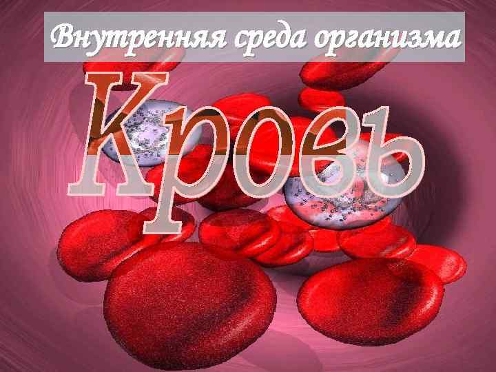 Внутренняя среда организма 