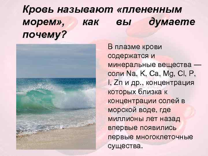 План текста плененное море