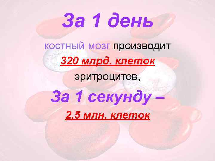 За 1 день костный мозг производит 320 млрд. клеток эритроцитов, За 1 секунду –