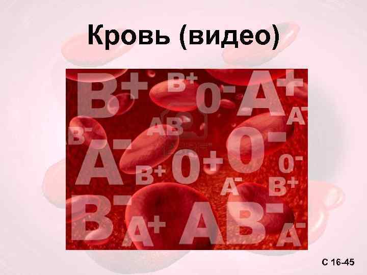 Кровь (видео) C 16 -45 