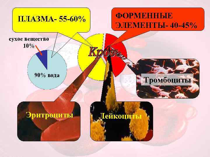 ПЛАЗМА- 55 -60% ФОРМЕННЫЕ ЭЛЕМЕНТЫ- 40 -45% сухое вещество 10% 90% вода Эритроциты Тромбоциты