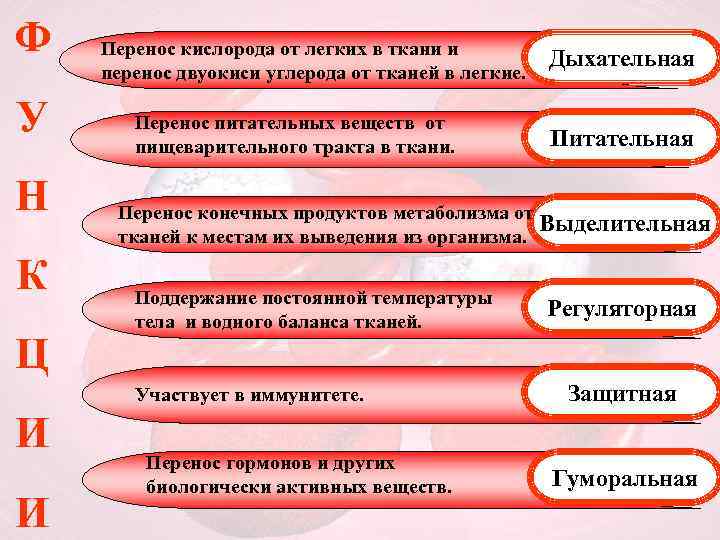 Ф У Н К Ц Перенос кислорода от легких в ткани и перенос двуокиси