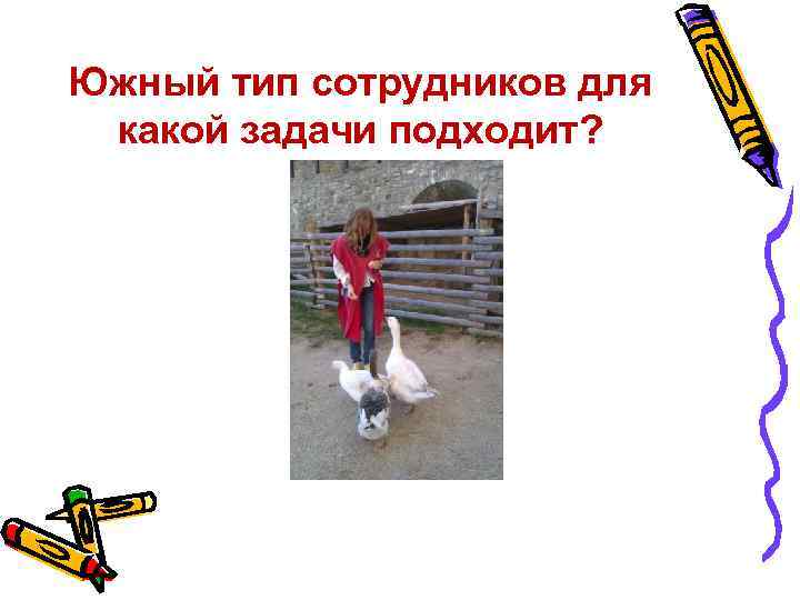 Южный тип сотрудников для какой задачи подходит? 