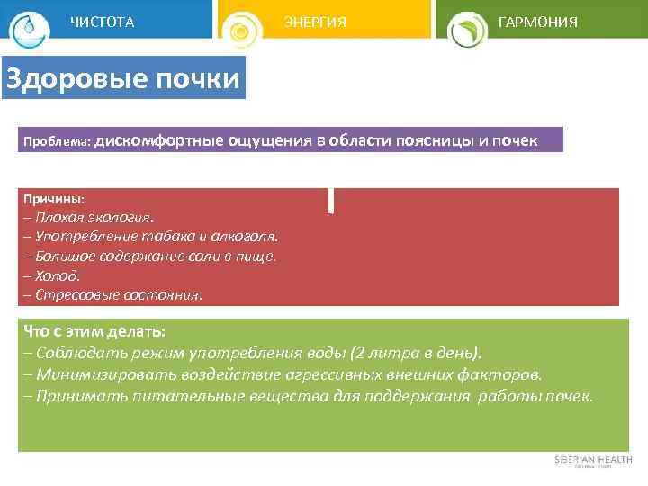 ЧИСТОТА ЭНЕРГИЯ ГАРМОНИЯ Здоровые почки Проблема: дискомфортные ощущения в области поясницы и почек Причины: