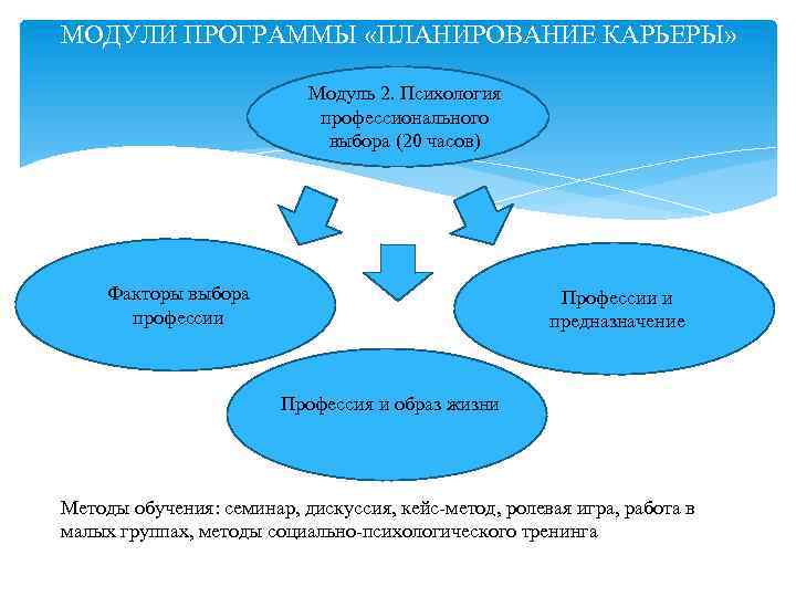 МОДУЛИ ПРОГРАММЫ «ПЛАНИРОВАНИЕ КАРЬЕРЫ» Модуль 2. Психология профессионального выбора (20 часов) Факторы выбора профессии