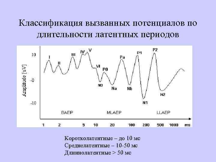 Классификация вызванных потенциалов по длительности латентных периодов Коротколатентные – до 10 мс Среднелатентные –