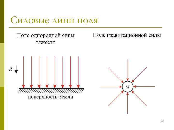 Силовые лини поля Поле однородной силы тяжести Поле гравитационной силы 20 