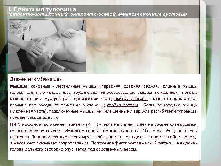 I. Движения туловища (атланто-затылочный, антланто-осевой, межпозвоночные суставы) Движение: сгибание шеи. Мышцы: основные - лестничные