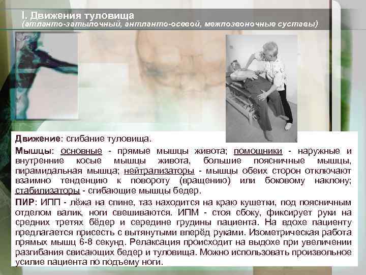 I. Движения туловища (атланто-затылочный, антланто-осевой, межпозвоночные суставы) Движение: сгибание туловища. Мышцы: основные - прямые