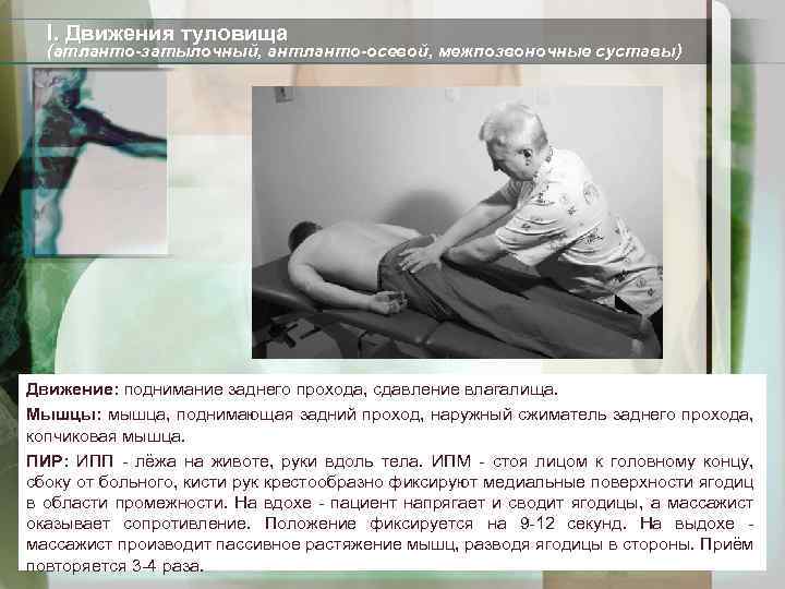 I. Движения туловища (атланто-затылочный, антланто-осевой, межпозвоночные суставы) Движение: поднимание заднего прохода, сдавление влагалища. Мышцы: