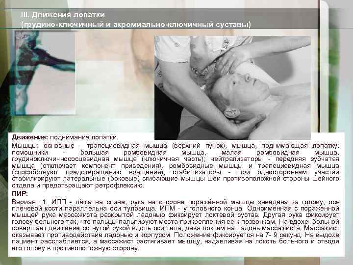 III. Движения лопатки (грудино-ключичный и акромиально-ключичный суставы) Движение: поднимание лопатки. Мышцы: основные - трапециевидная