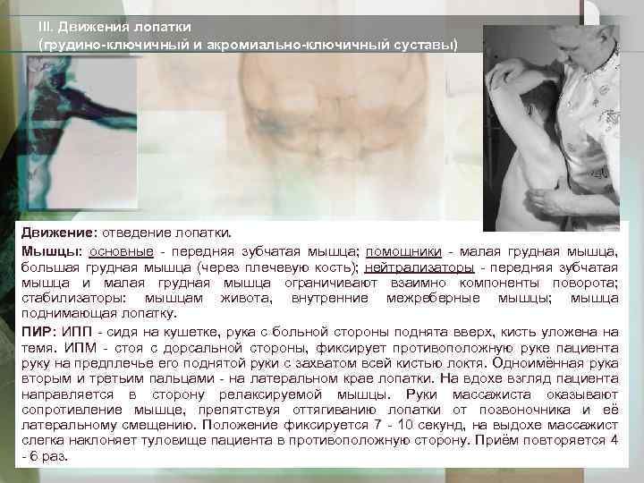 III. Движения лопатки (грудино-ключичный и акромиально-ключичный суставы) Движение: отведение лопатки. Мышцы: основные - передняя