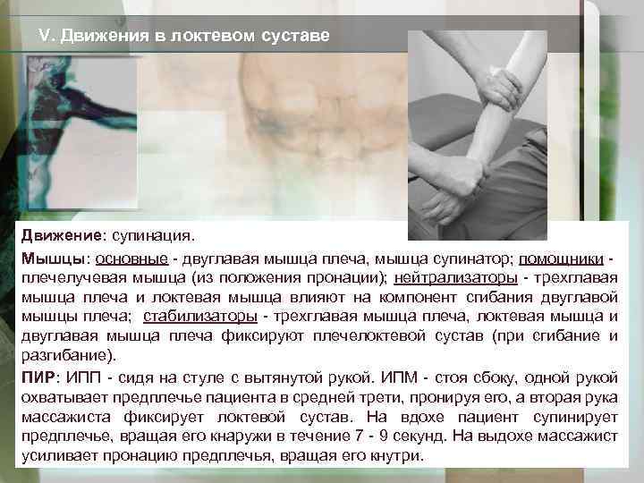 V. Движения в локтевом суставе Движение: супинация. Мышцы: основные - двуглавая мышца плеча, мышца