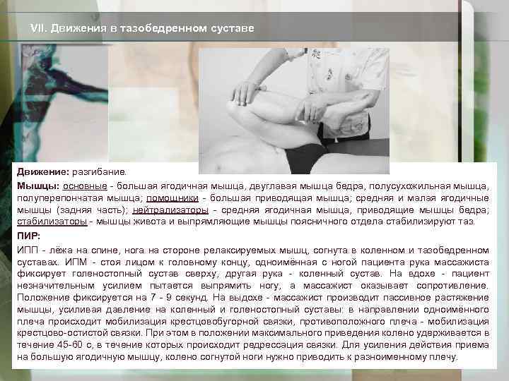 VII. Движения в тазобедренном суставе Движение: разгибание. Мышцы: основные - большая ягодичная мышца, двуглавая