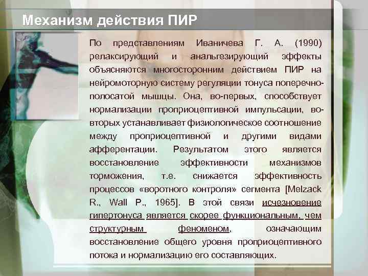 Механизм действия ПИР По представлениям Иваничева Г. А. (1990) релаксирующий и анальгезирующий эффекты объясняются