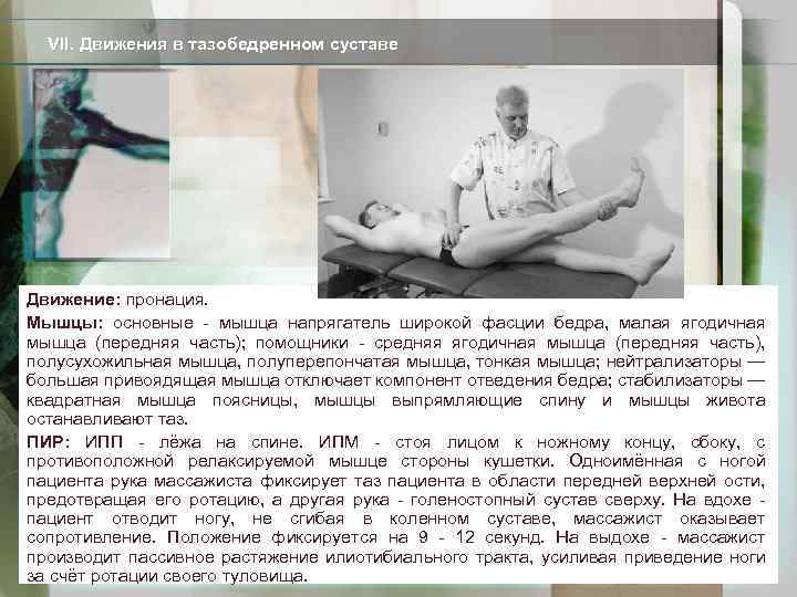 VII. Движения в тазобедренном суставе Движение: пронация. Мышцы: основные - мышца напрягатель широкой фасции
