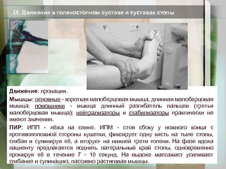 IX. Движения в голеностопном суставе и суставах стопы Движение: пронация. Мышцы: основные - короткая
