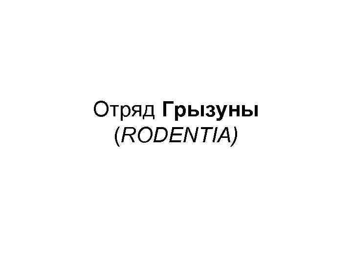 Отряд Грызуны (RODENTIA) 