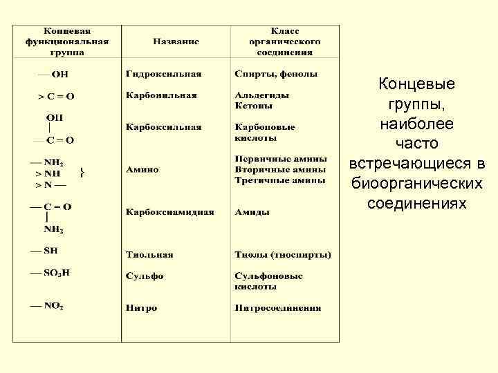 Концевые группы, наиболее часто встречающиеся в биоорганических соединениях 