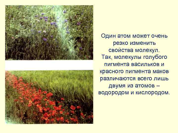 Один атом может очень резко изменить свойства молекул. Так, молекулы голубого пигмента васильков и