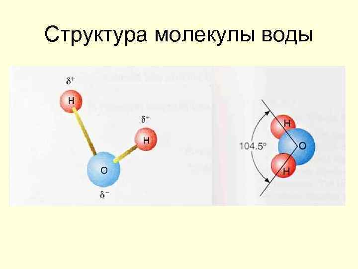 Структура молекулы воды 