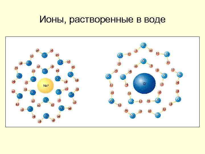 Ионы, растворенные в воде 