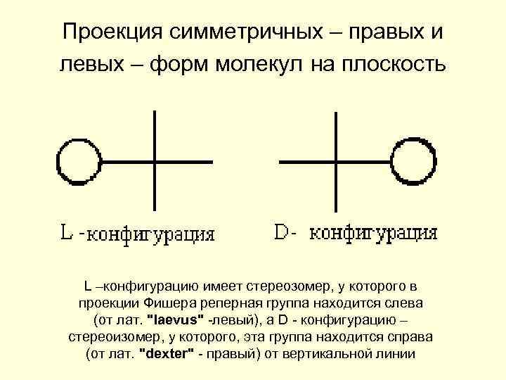 Проекция симметричных – правых и левых – форм молекул на плоскость L –конфигурацию имеет