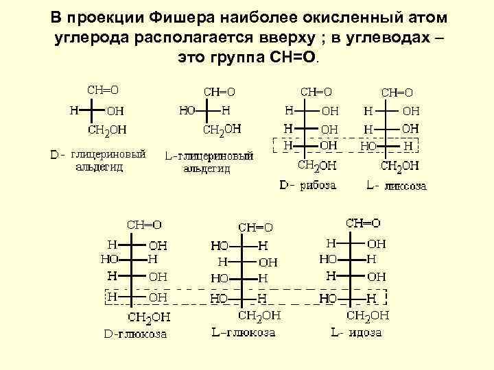 Проекция фишера