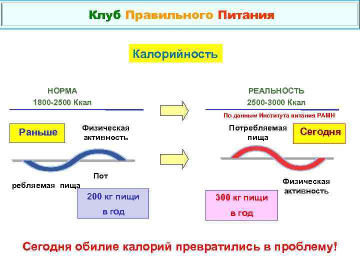 Клуб Правильного Питания Калорийность НОРМА 1800 -2500 Ккал РЕАЛЬНОСТЬ 2500 -3000 Ккал По данным