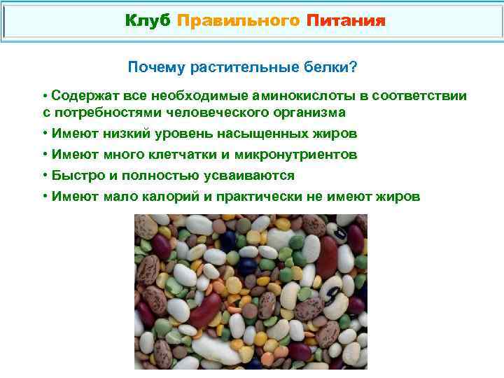 Клуб Правильного Питания Почему растительные белки? • Содержат все необходимые аминокислоты в соответствии с