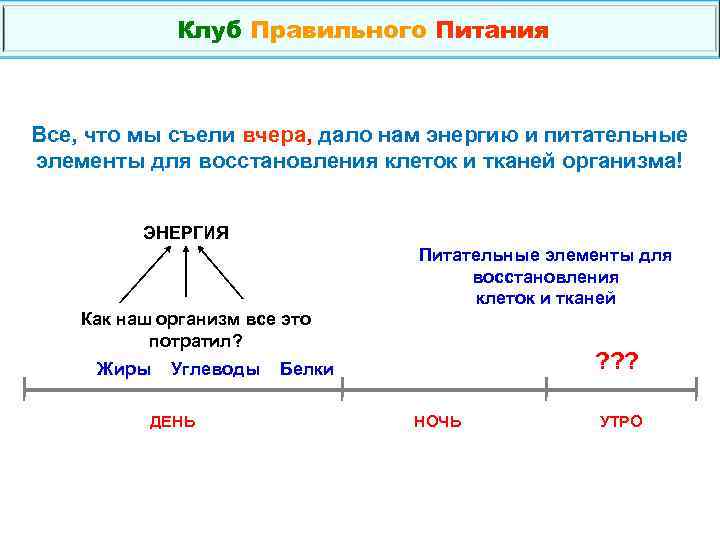 Клуб Правильного Питания Все, что мы съели вчера, дало нам энергию и питательные элементы