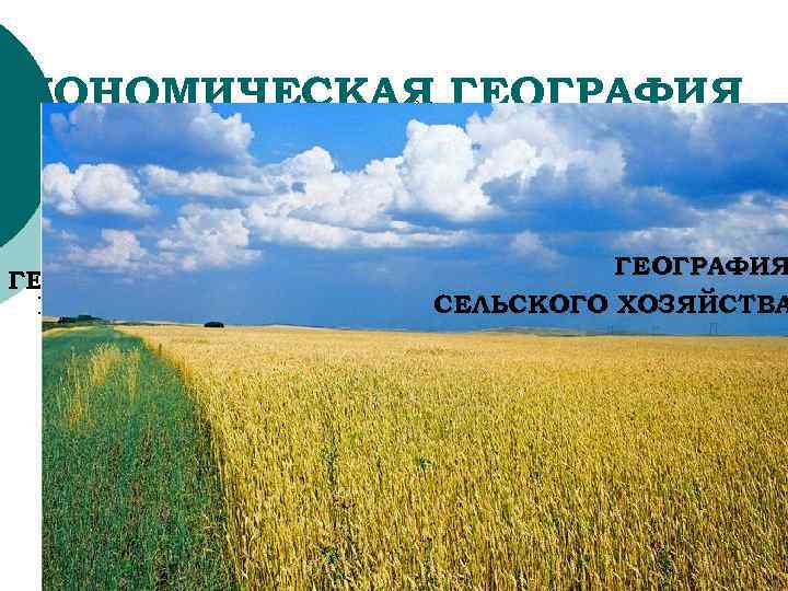 ЭКОНОМИЧЕСКАЯ ГЕОГРАФИЯ ПРОМЫШЛЕННОСТИ ГЕОГРАФИЯ СЕЛЬСКОГО ХОЗЯЙСТВА 